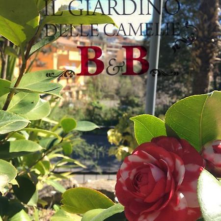 B&B Il Giardino Delle Camelie Палестрина Экстерьер фото