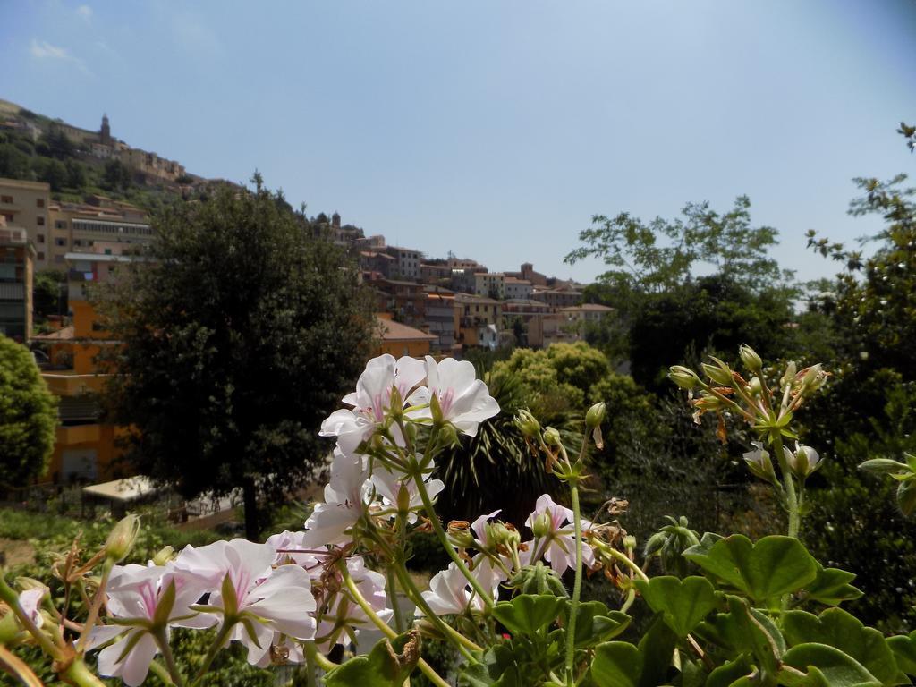B&B Il Giardino Delle Camelie Палестрина Экстерьер фото
