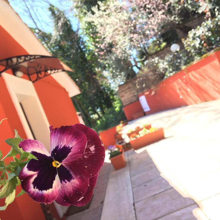 B&B Il Giardino Delle Camelie Палестрина Экстерьер фото