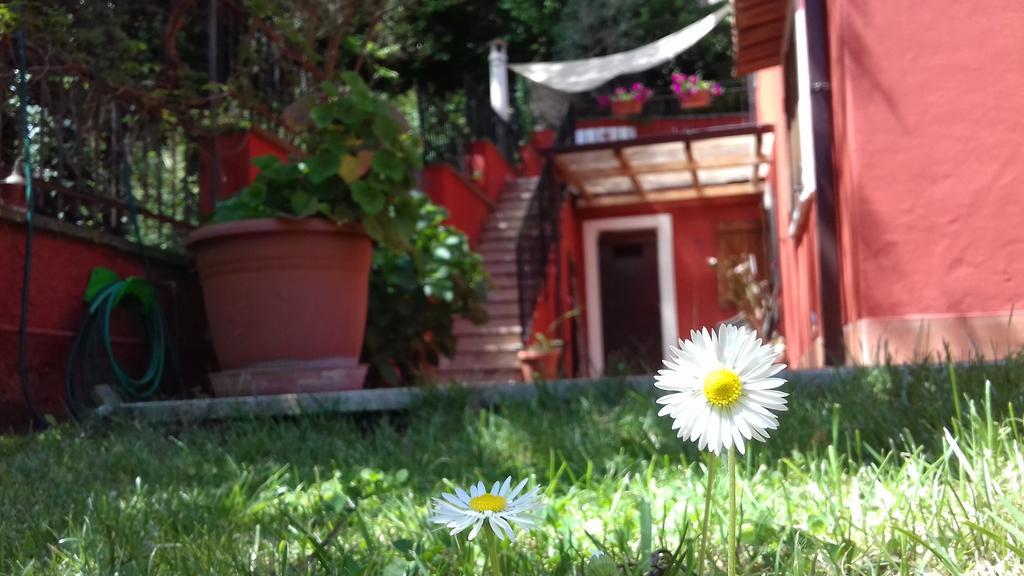 B&B Il Giardino Delle Camelie Палестрина Экстерьер фото