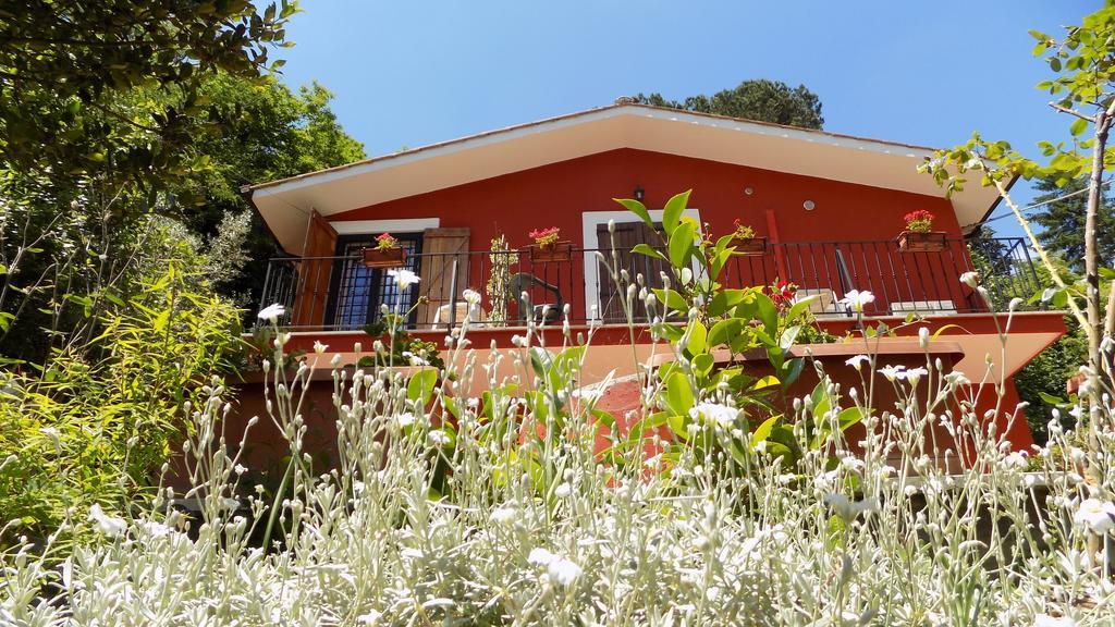 B&B Il Giardino Delle Camelie Палестрина Экстерьер фото