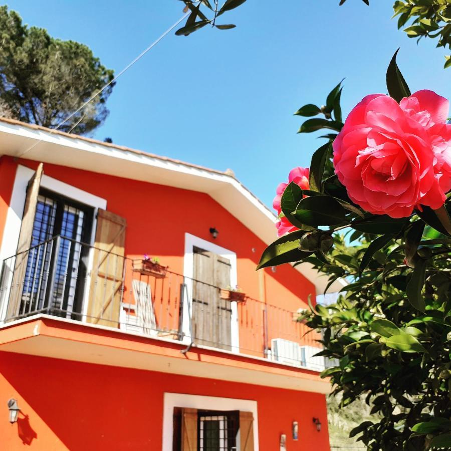 B&B Il Giardino Delle Camelie Палестрина Экстерьер фото